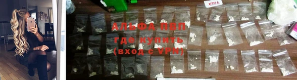 apvp Белокуриха